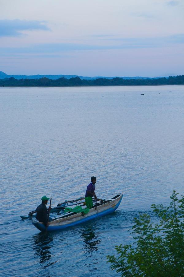 Royal Nest Bed and Breakfast Polonnaruwa Esterno foto