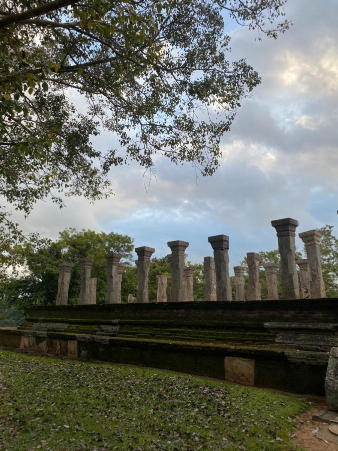 Royal Nest Bed and Breakfast Polonnaruwa Esterno foto